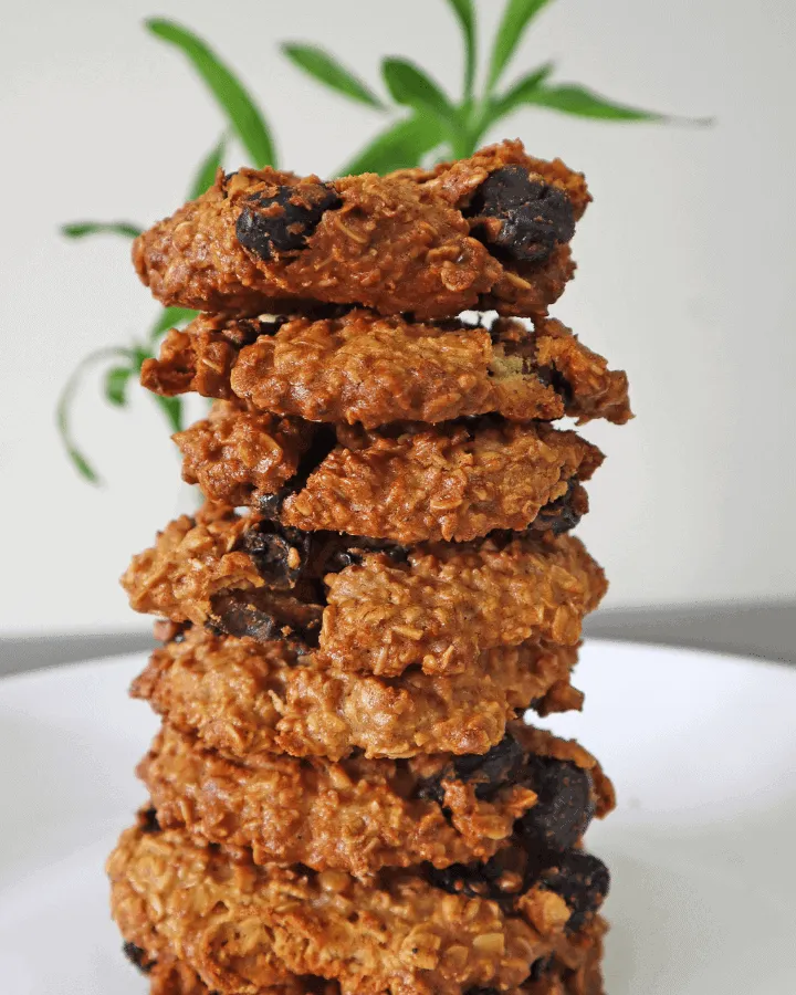 Healthy air fryer oatmeal cookies made with oats and raisins
