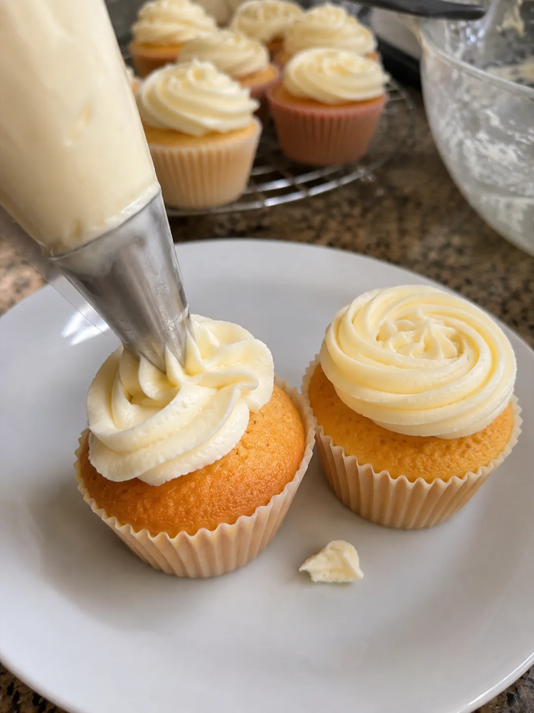 Vanilla buttercream being piped in a swirl onto a cooled cupcake with a star tip, with one finished cupcake beside it on a white plate
