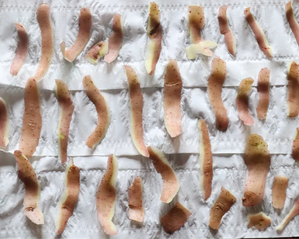 Raw potato peels laid out in rows on paper towels to dry before air frying